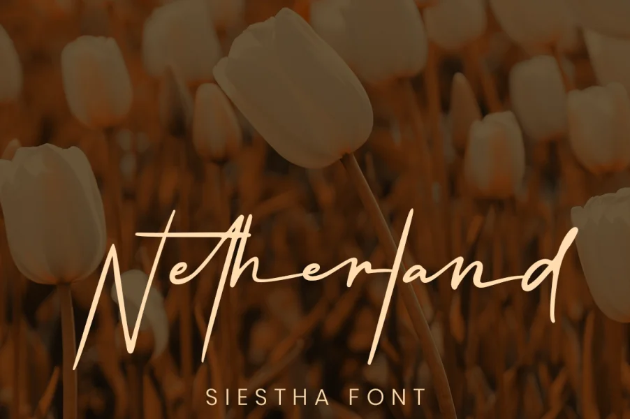 Siestha Font preview 4