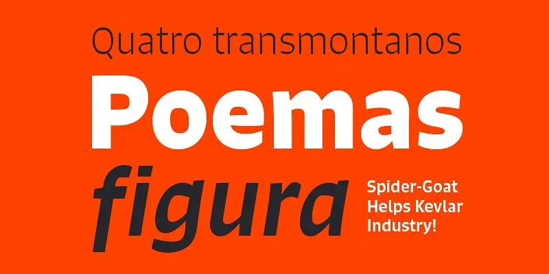 Signo Font Family preview 4