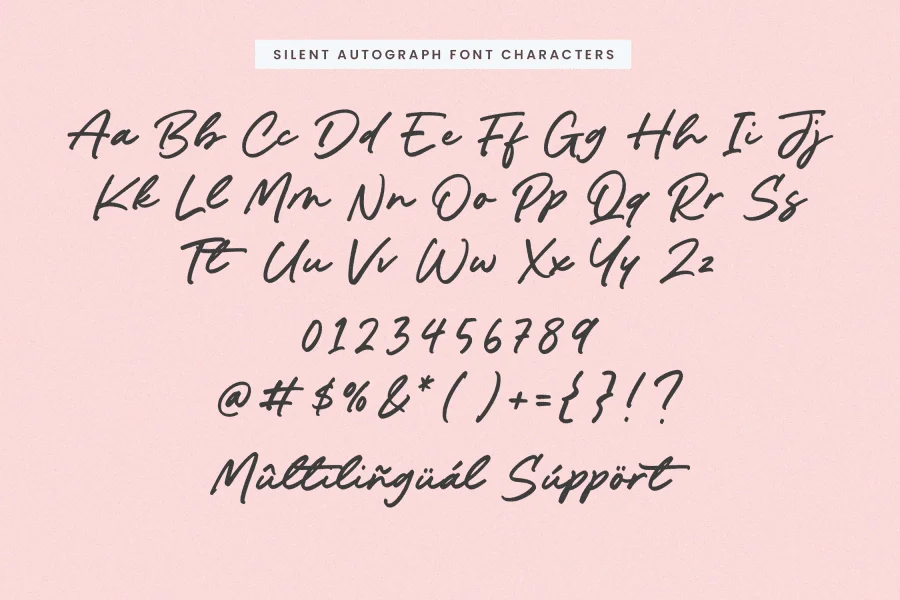 Silent Autograph Font preview 6