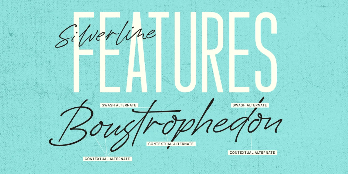 Silverline Script Demo Font preview 4