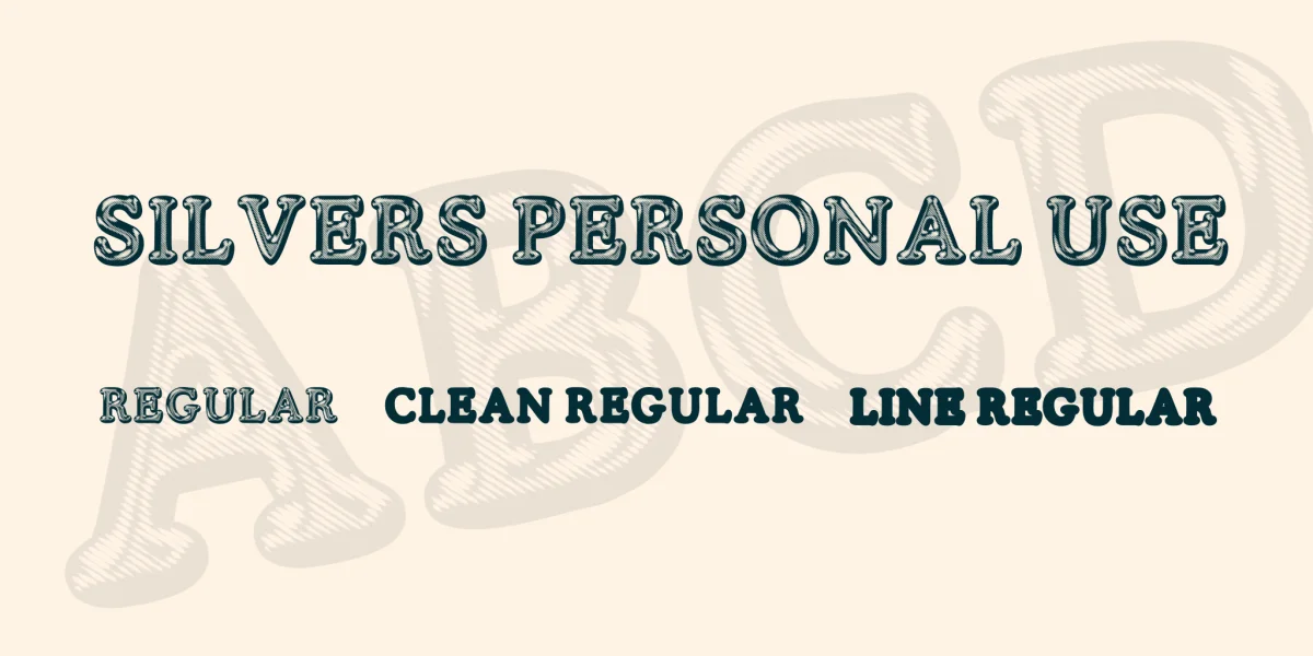 SILVERS PERSONAL USE Font Family preview 3