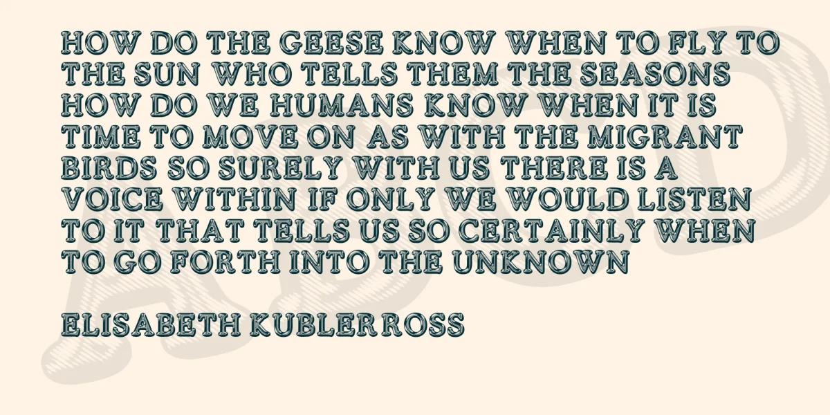 SILVERS PERSONAL USE Font Family preview 4