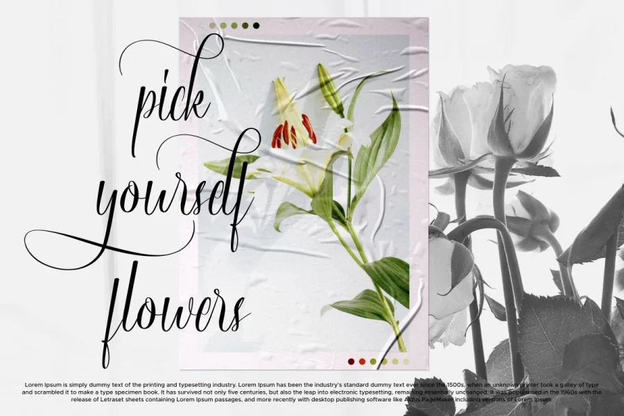 Sinta Magenta Demo Font preview 5