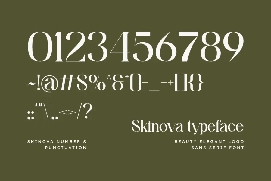 Skinova Font preview 3