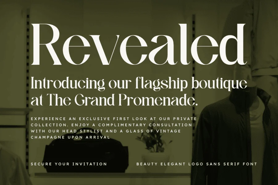 Skinova Font preview 7