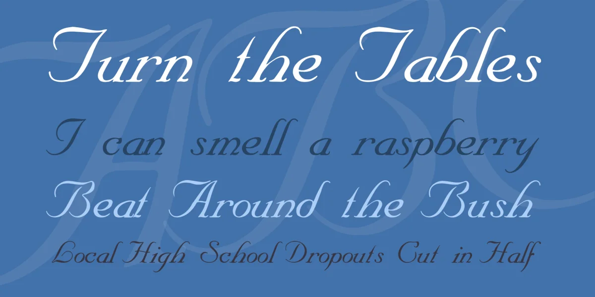 SNC Script Font preview 2