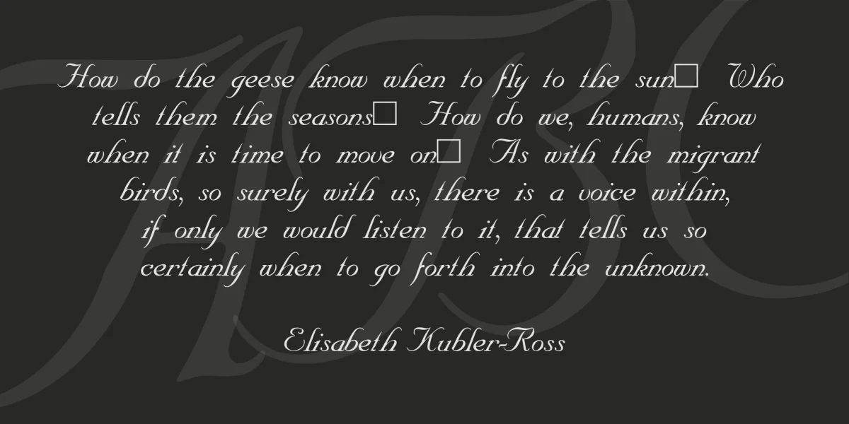 SNC Script Font preview 3