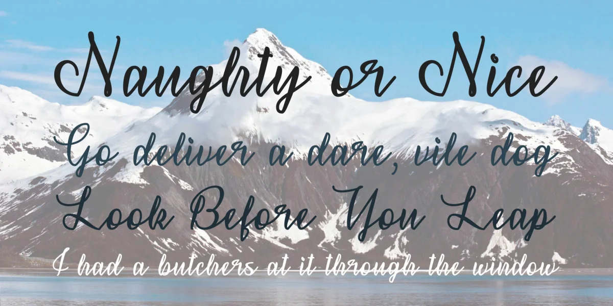 Snowflake Calligraphy Font preview 4