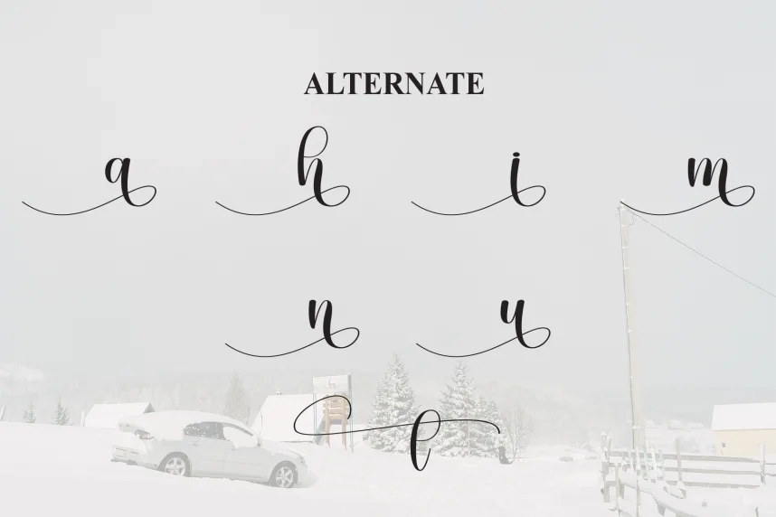 Snowstorm – Handwritten Script Font preview 6