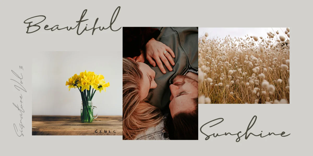 Sophia Bella DEMO Font preview 5