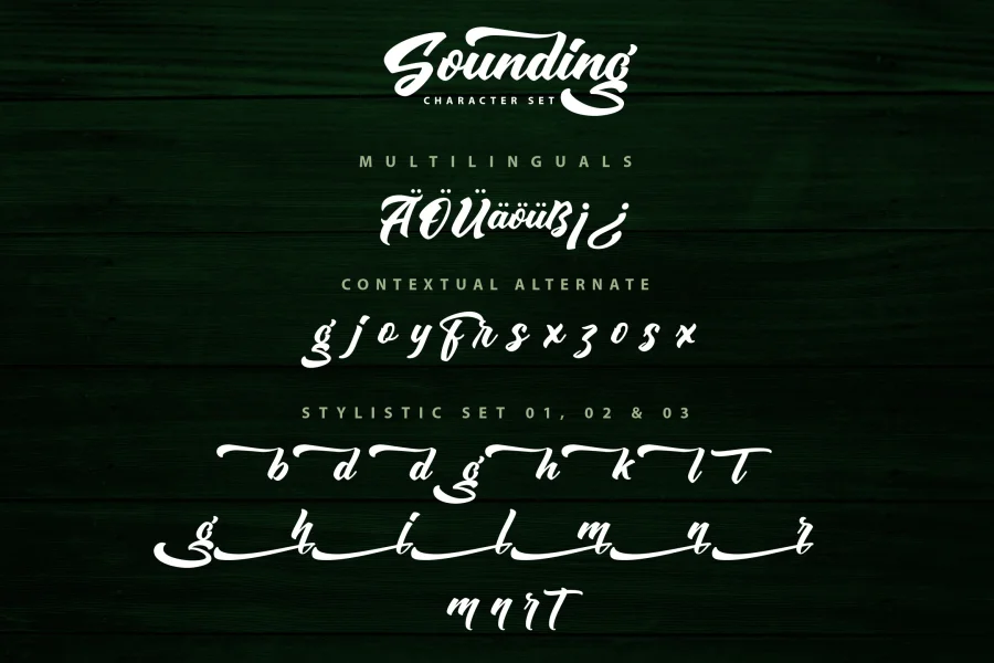 Sounding Script Font preview 6