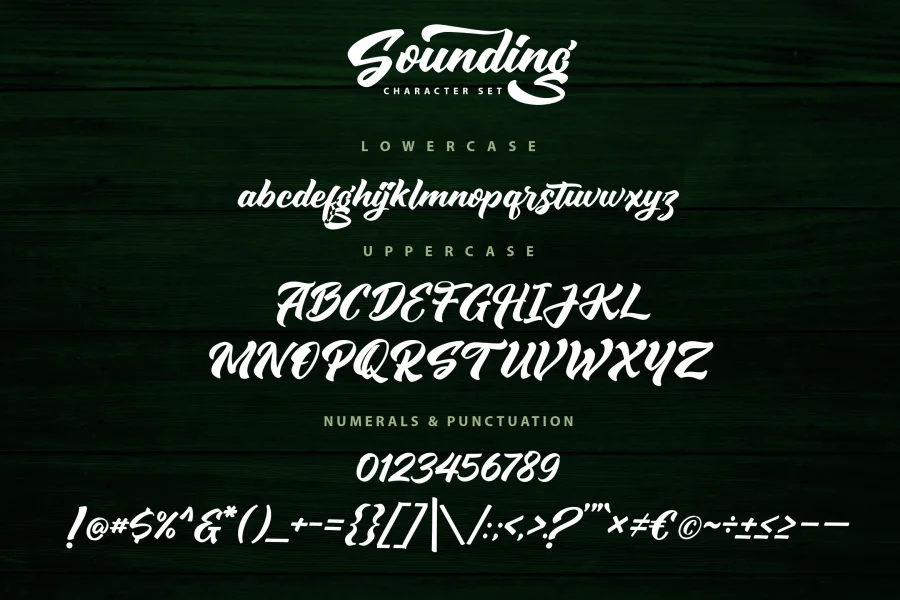 Sounding Script Font preview 7