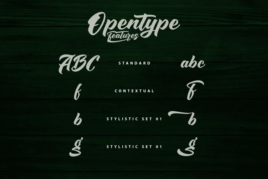 Sounding Script Font preview 8