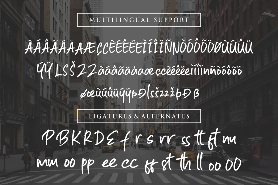 South East Font preview 16