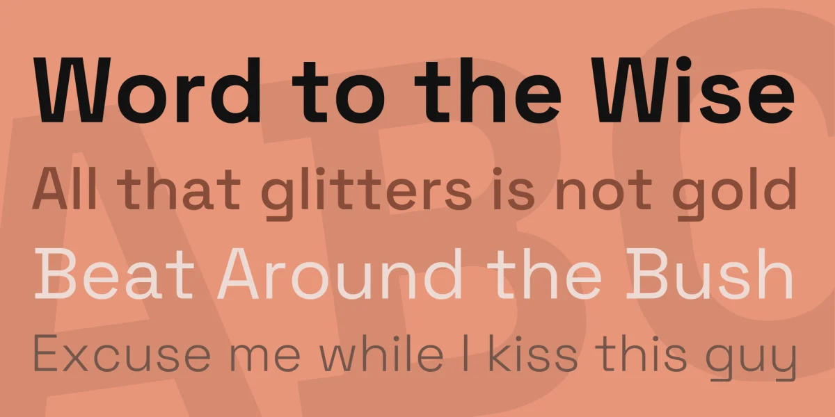 Space Grotesk Font Family preview 2