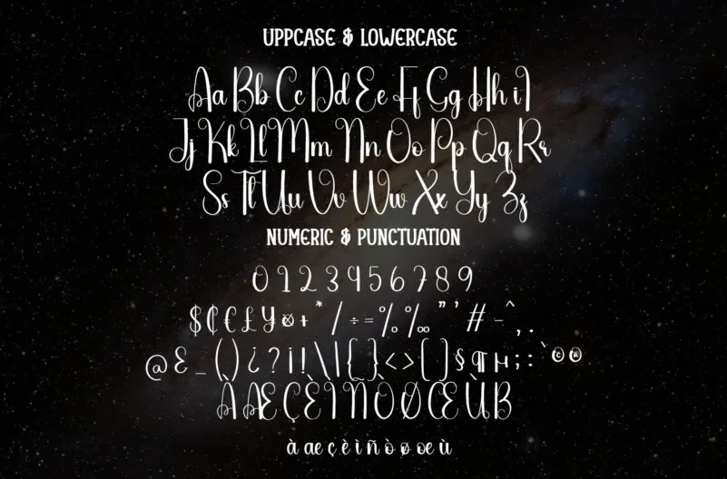 Space Script Font preview 4