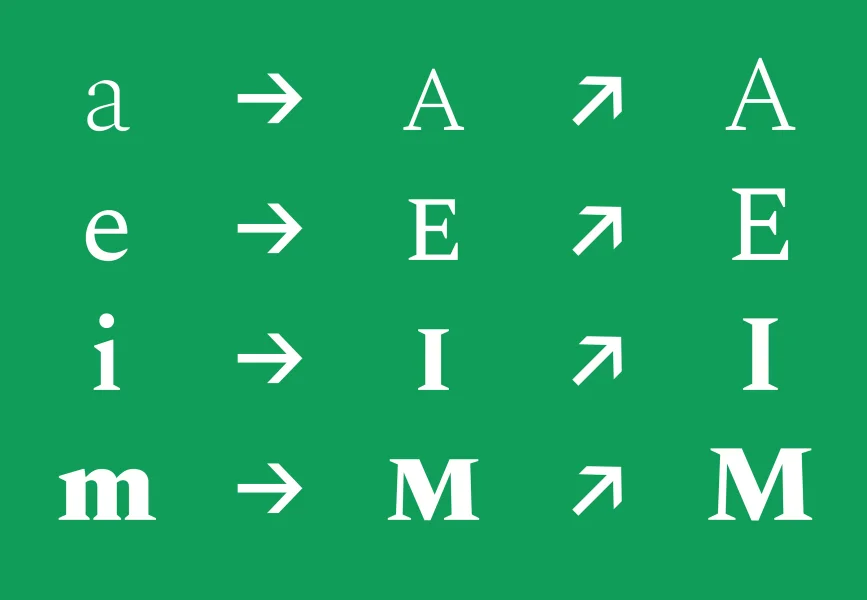 Spectral Font Family preview 5