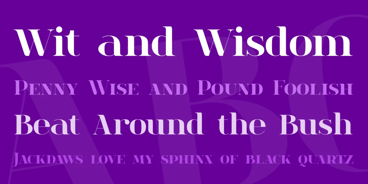 spinwerad Font Family preview 2