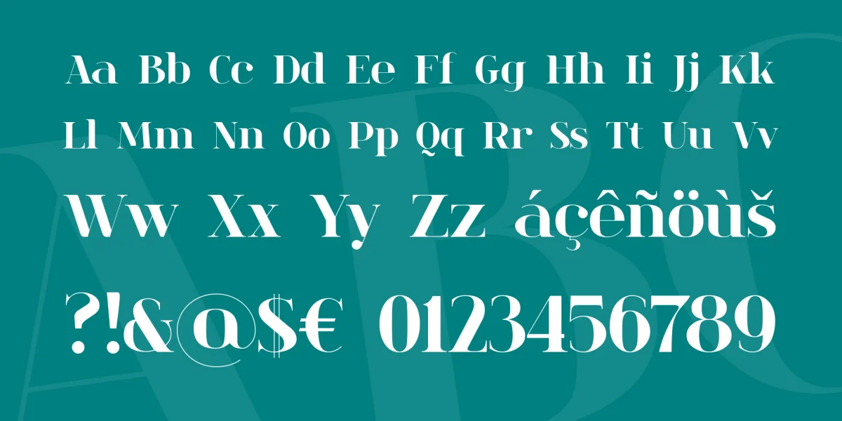 spinwerad Font Family preview 4