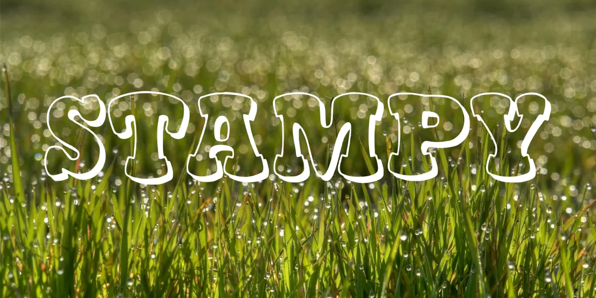 Stampy Font