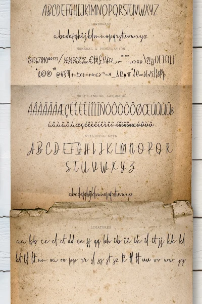 standard pilot demo Font preview 6