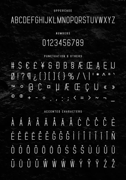 Standaris Font preview 11