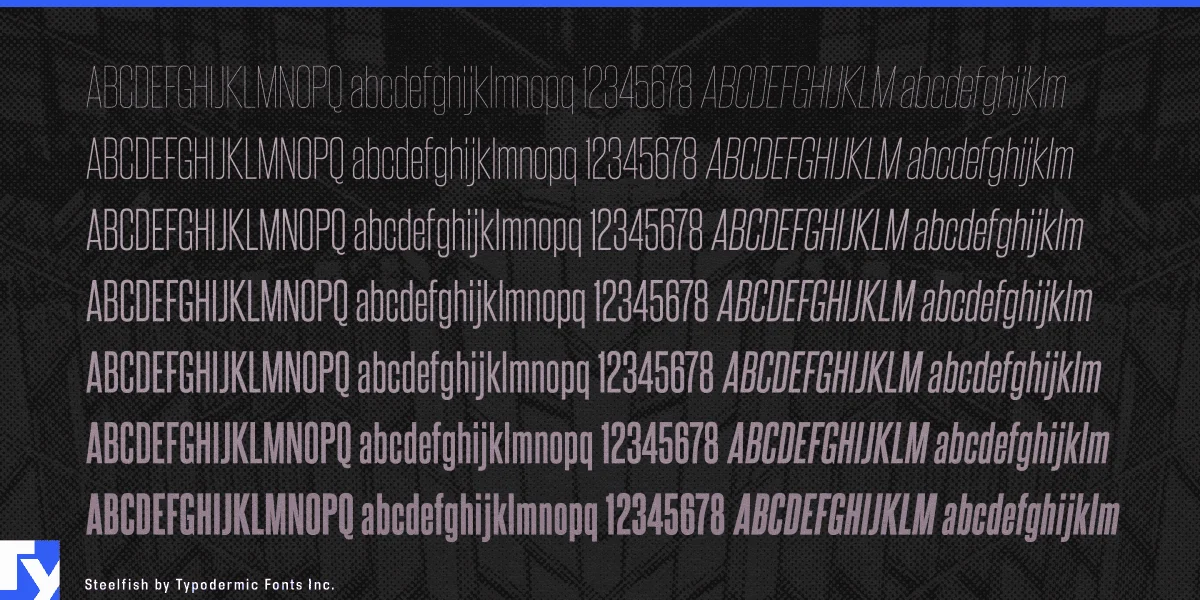 Steelfish Font Family preview 2