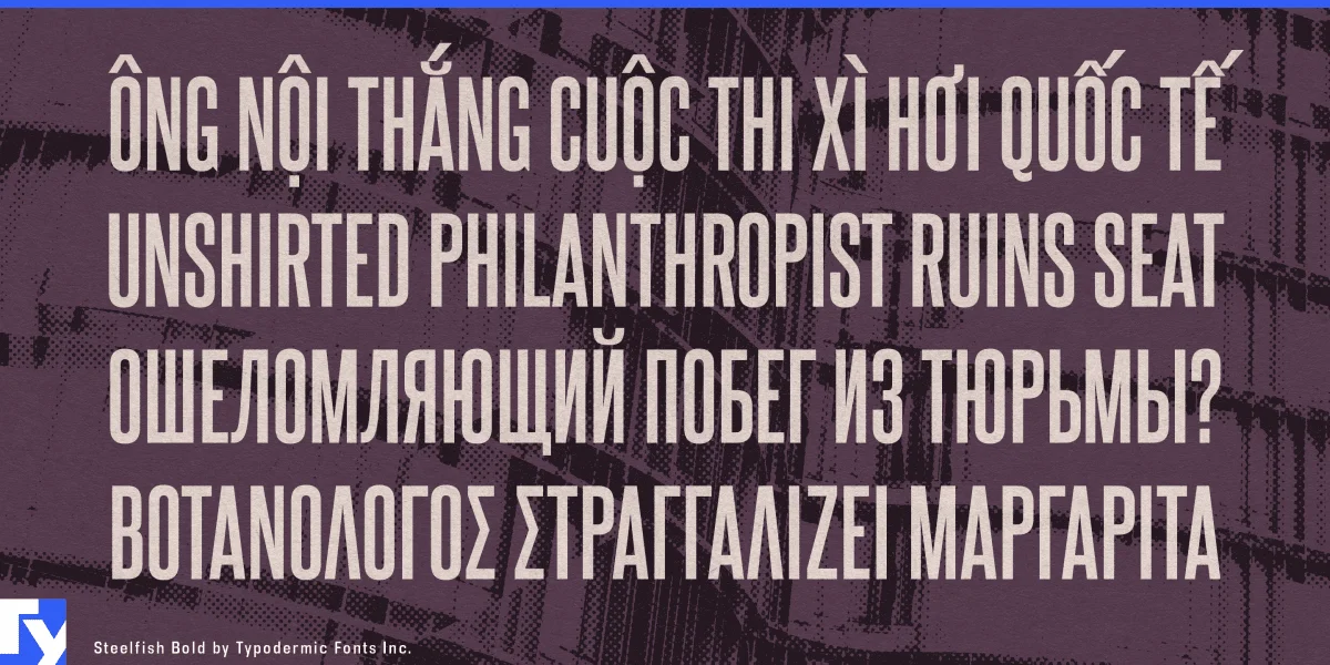 Steelfish Font Family preview 5