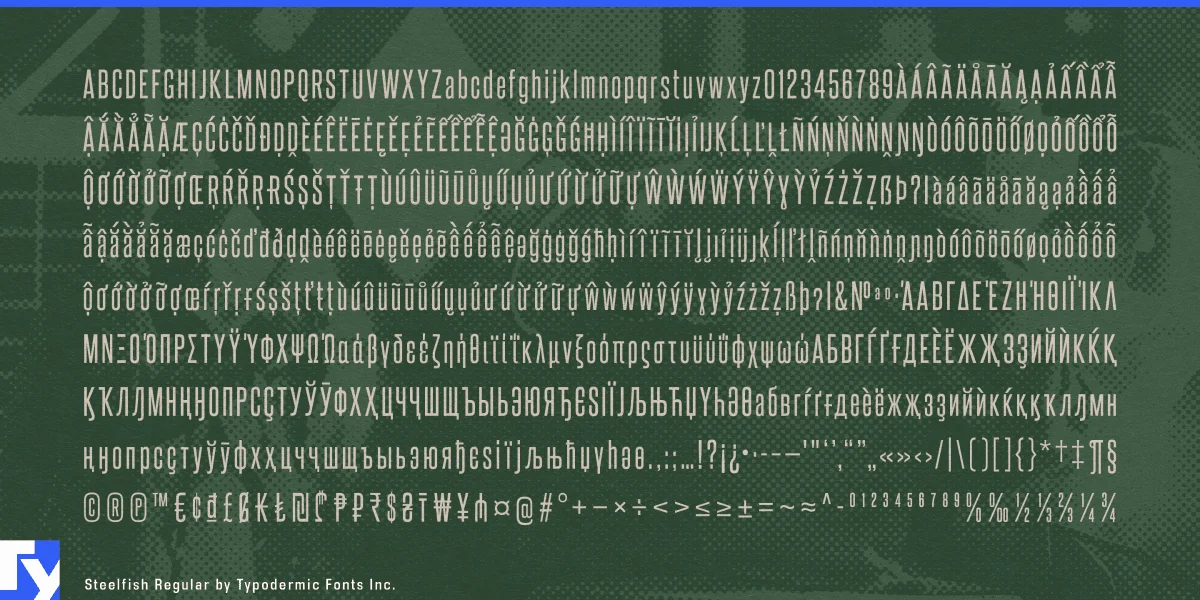 Steelfish Font Family preview 7