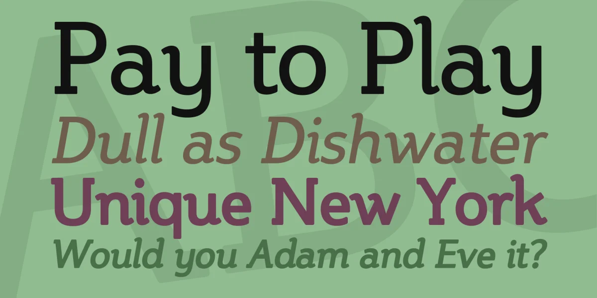 Steinem Font Family preview 2