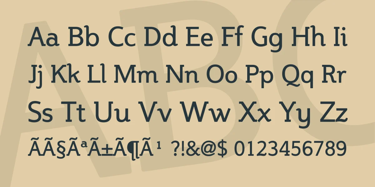 Steinem Font Family preview 4