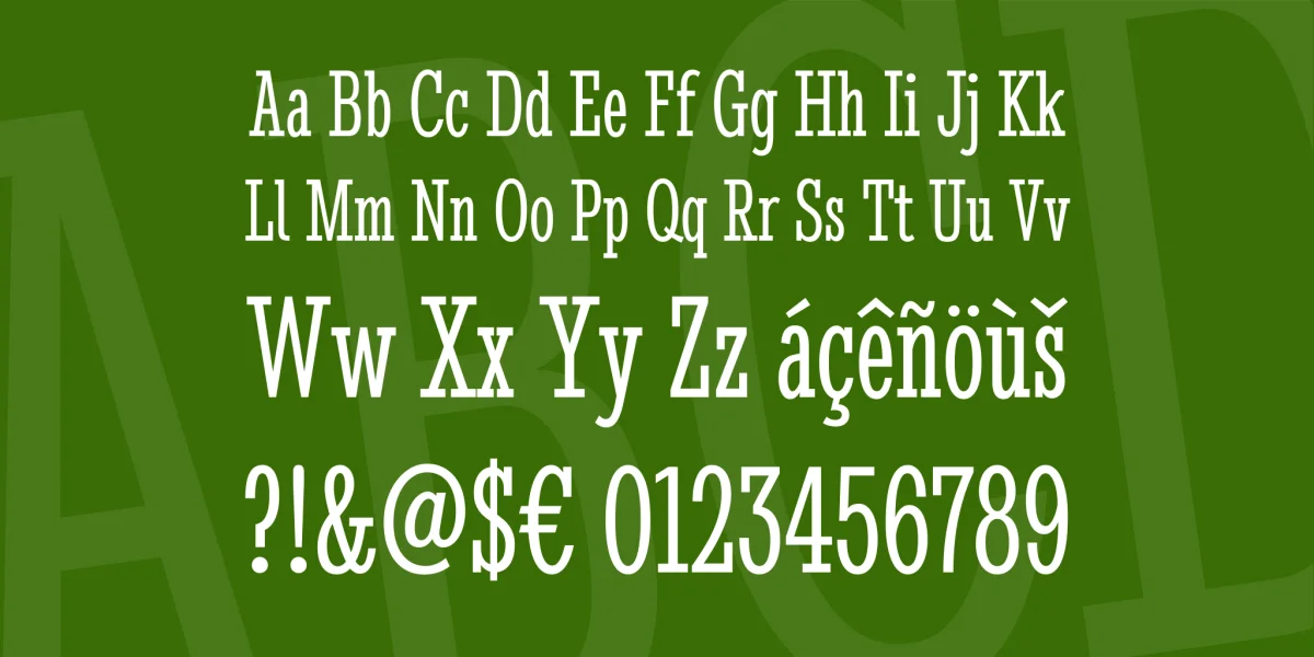 Stint Ultra Condensed Font preview 4