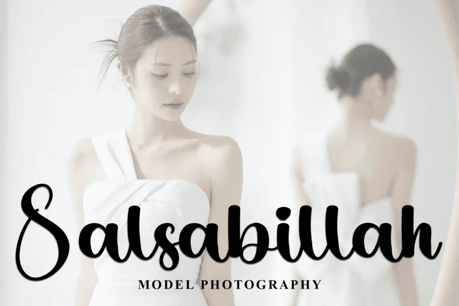 Stylish Absolute Font preview 2