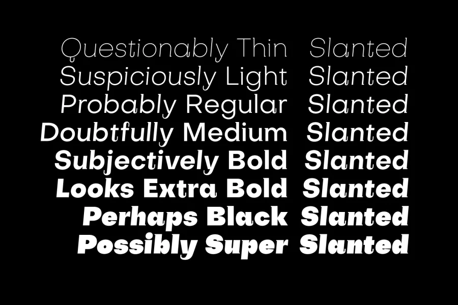 Subjectivity Font Family preview 3