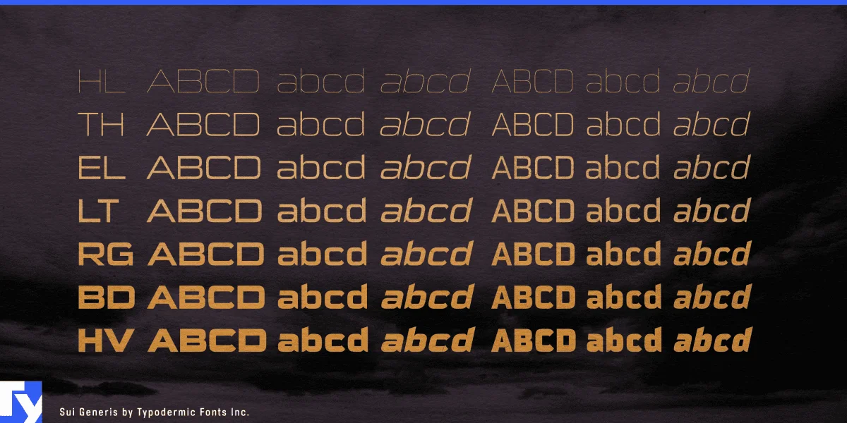 Sui Generis Font preview 2