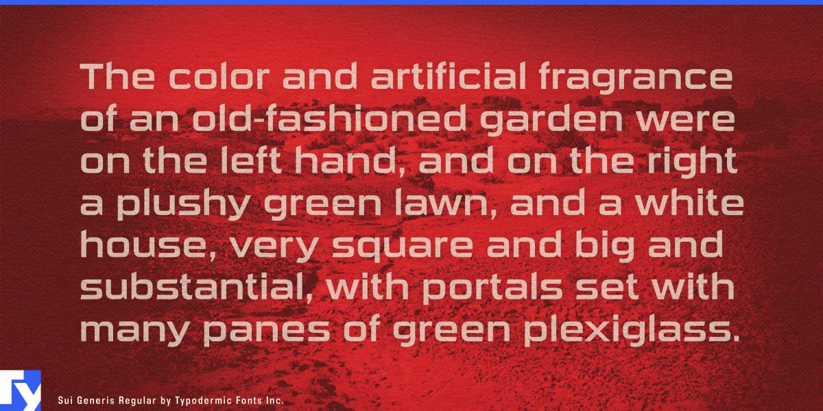 Sui Generis Font preview 5