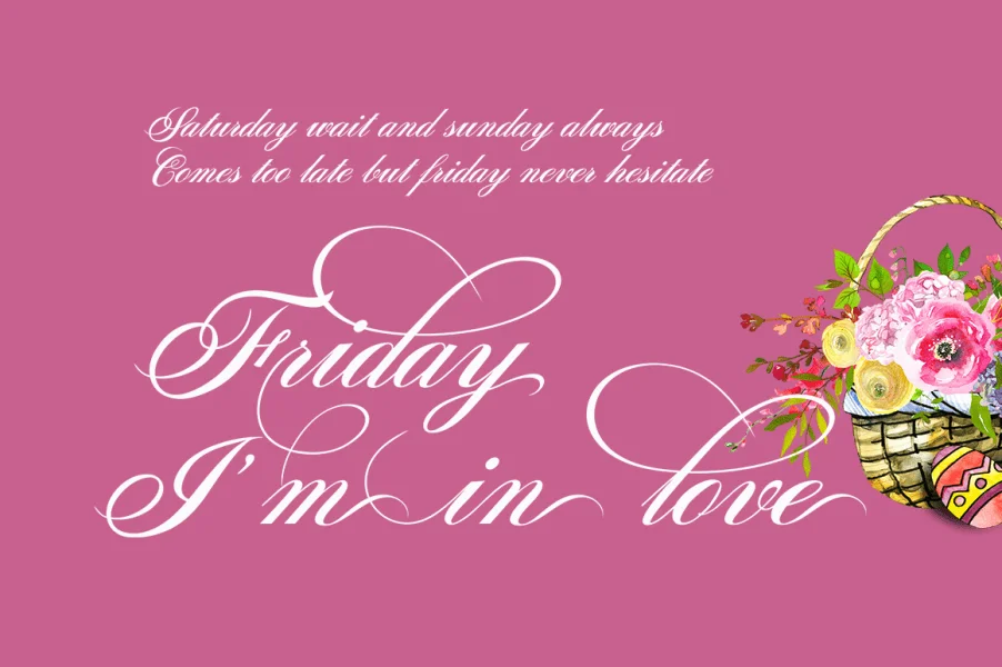Sunlight Script Font preview 4
