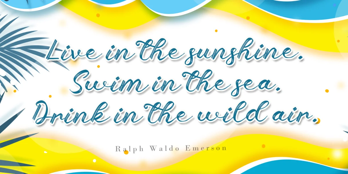 Sunny Brush Font preview 7
