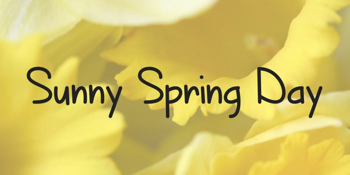 Sunny Spring Day Font preview 5