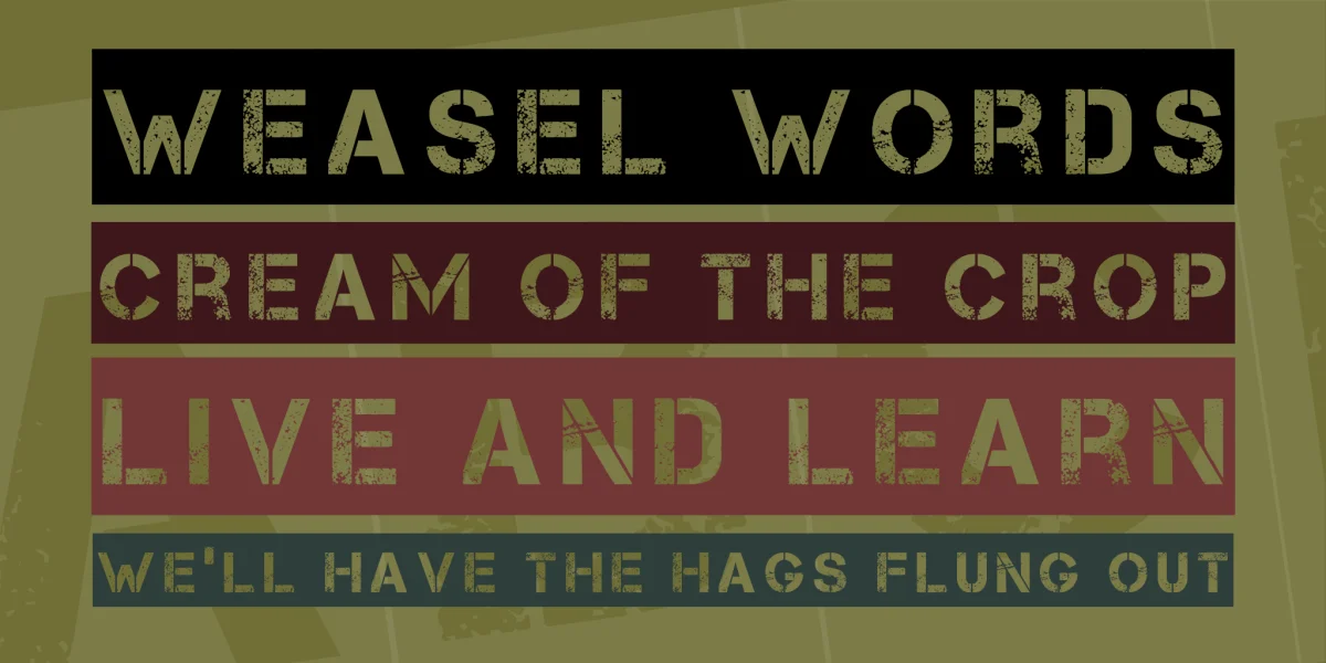 Take Cover Font preview 3