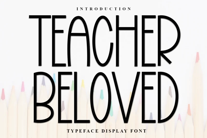Teacher Beloved Playful Font preview 2