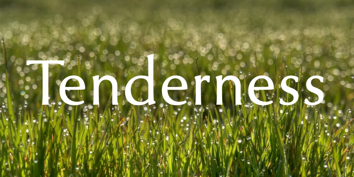 Tenderness Font