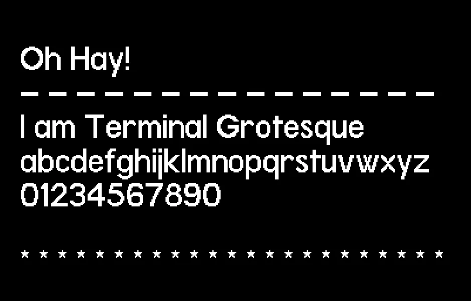Terminal Grotesque Font Family preview 13