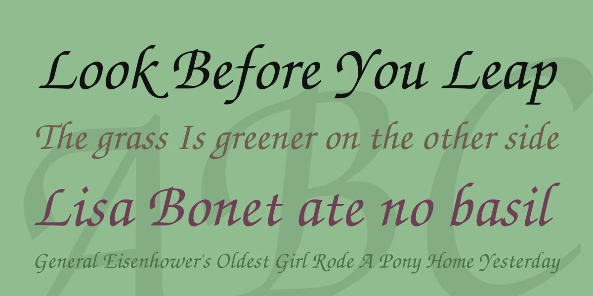 TeX Gyre Chorus Font preview 2