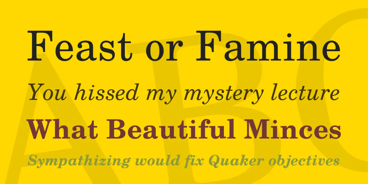 TeX Gyre Schola Font Family preview 2