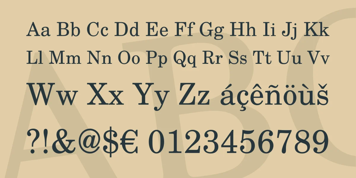 TeX Gyre Schola Font Family preview 4