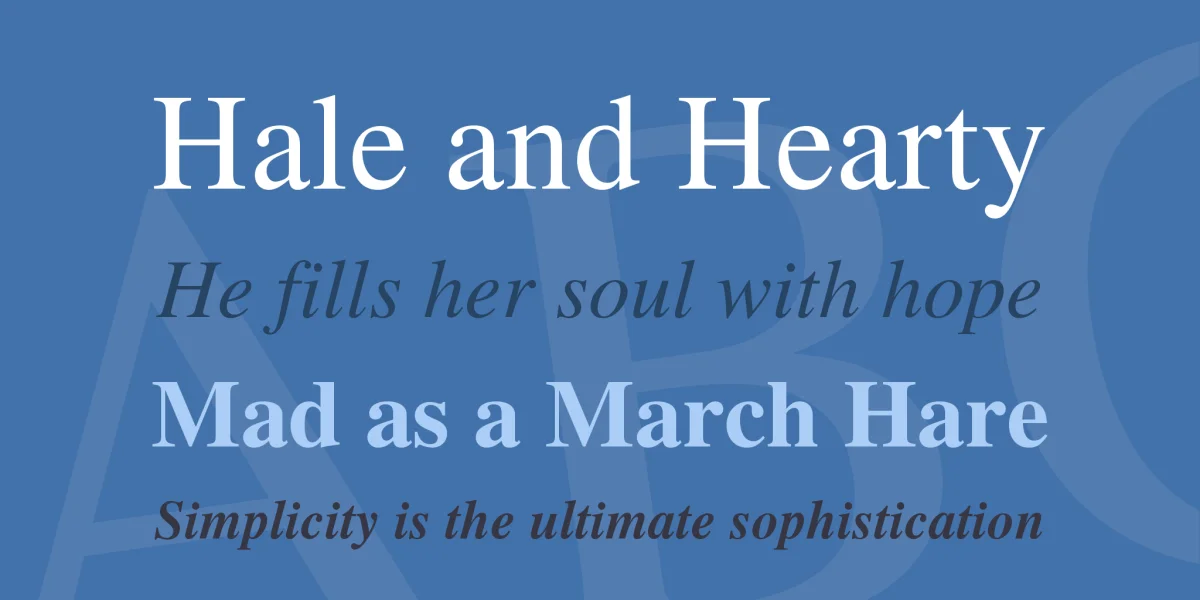 TeX Gyre Termes Font Family preview 2