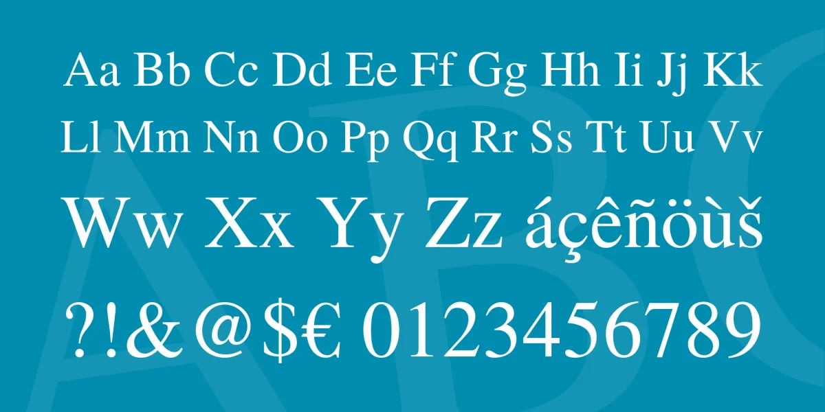TeX Gyre Termes Font Family preview 4