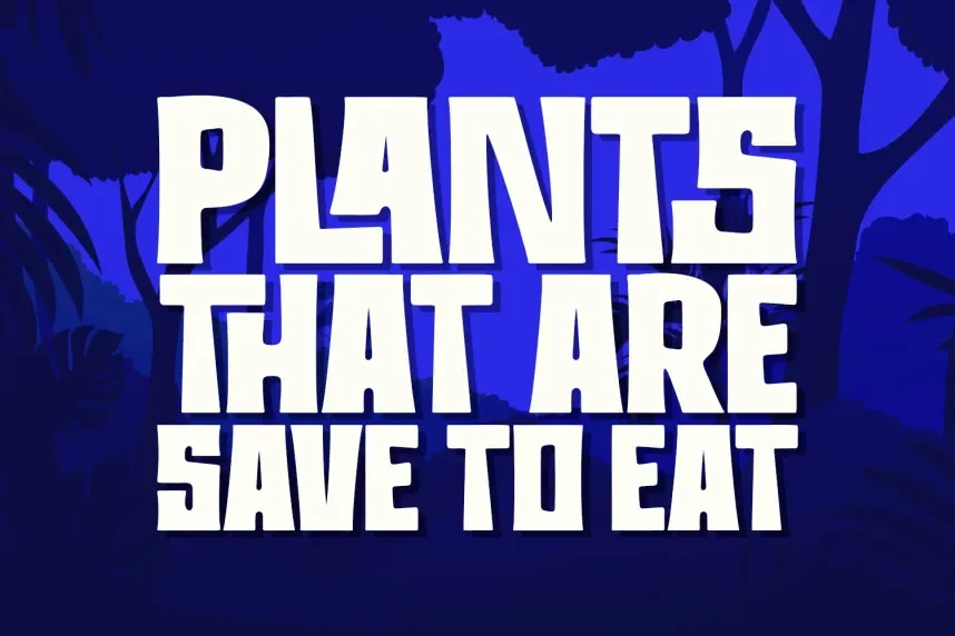The Last Trunks Font preview 5