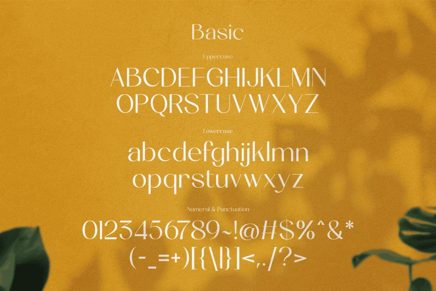 The munday free version Font preview 4